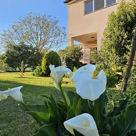 Casa Da Billy