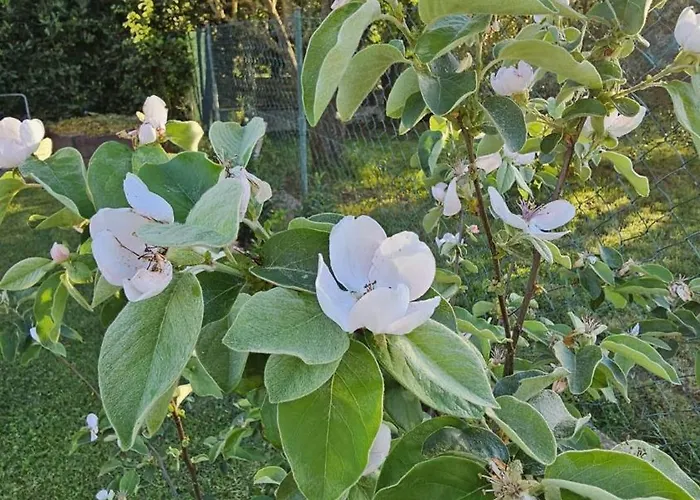 Casa Da Billy Appartement *